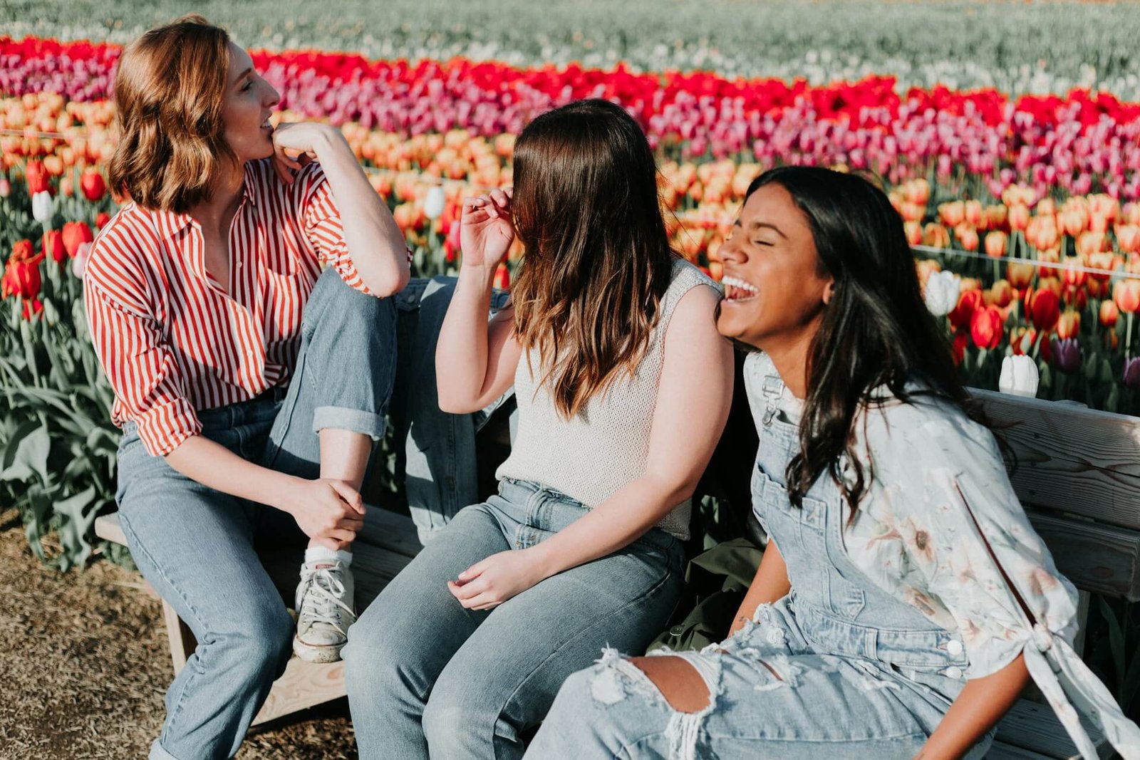 3 women laughing on a bench in a field full of flowers